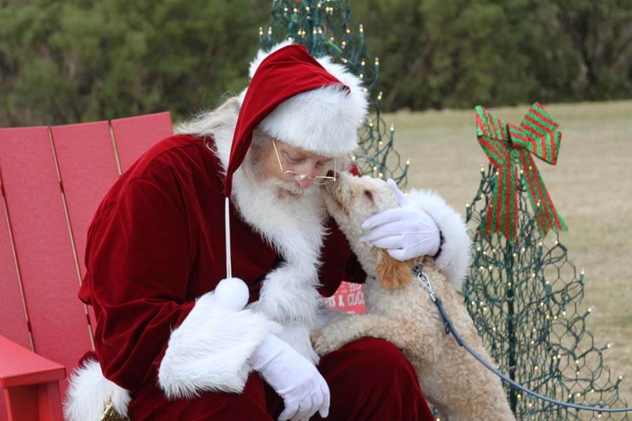 Santa meeting dog
