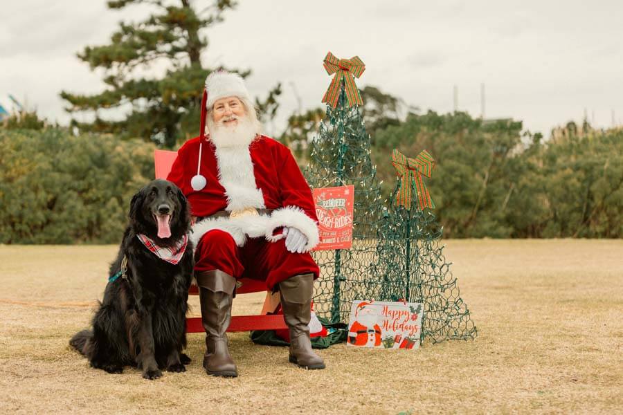 Santa With Dog